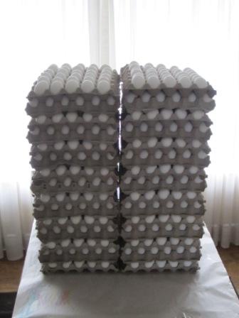 Cartons of eggs stand at the ready